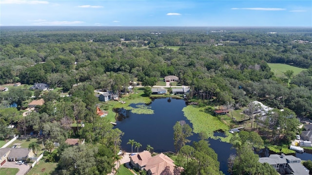 8121 Via Bonita, Sanford, FL 32771 - photo 42