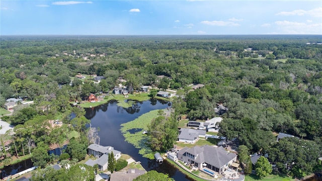 8121 Via Bonita, Sanford, FL 32771 - photo 43