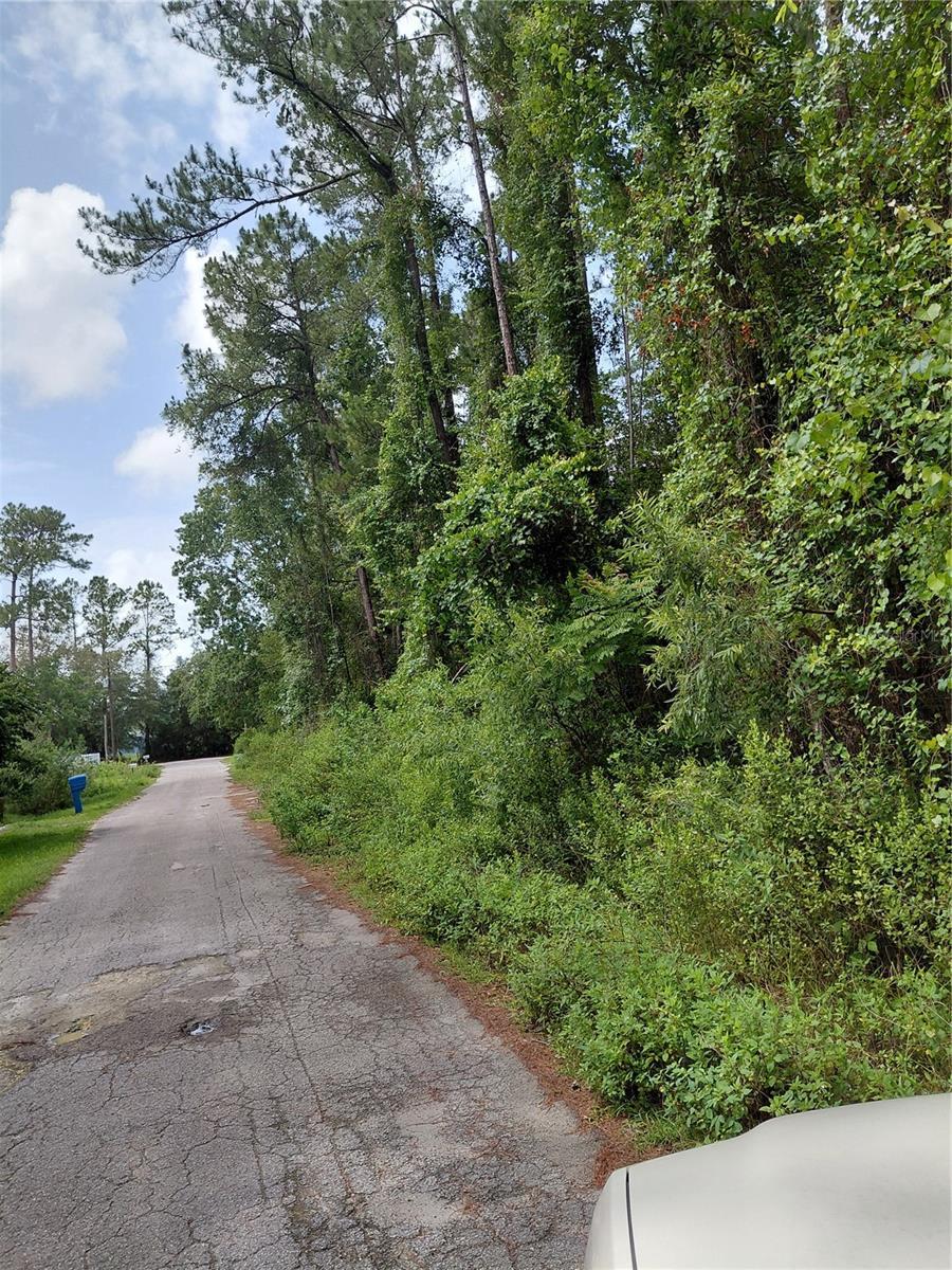 James St, Astor, FL 32102