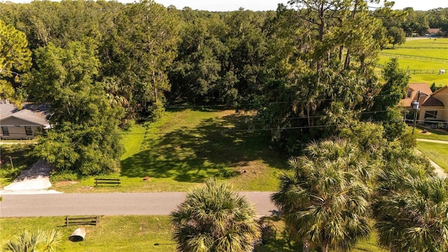 1562 Arrowhead Trl, Enterprise, FL 32725 - photo 2