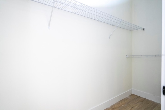 25 W 7th St, Apopka, FL 32703 - walk in closet featuring light wood-type flooring