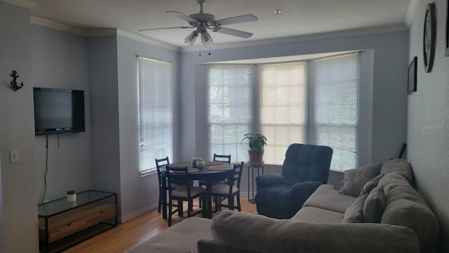 6316 Raleigh St Unit 401, Orlando, FL 32835 - living room featuring a ceiling fan, light wood-style floors, crown molding, and baseboards