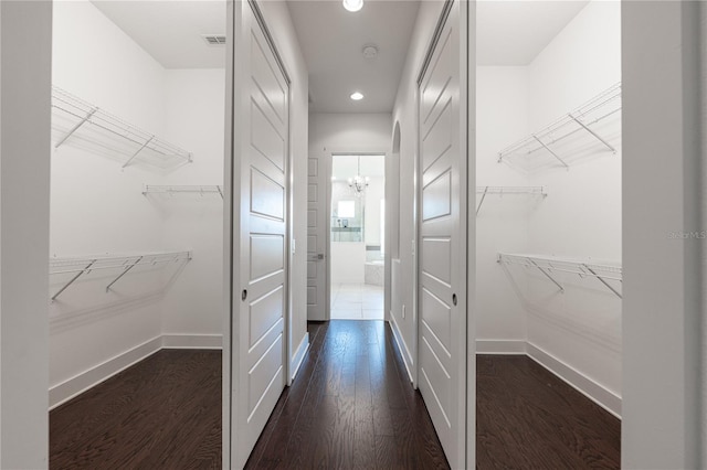 25859 Crossings Bluff Ln, Sorrento, FL 32776 - spacious closet featuring dark wood finished floors and a chandelier