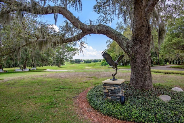 25859 Crossings Bluff Ln, Sorrento, FL 32776 - view of green lawn