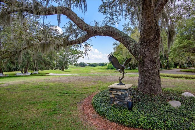 25859 Crossings Bluff Ln, Sorrento, FL 32776 - photo 59