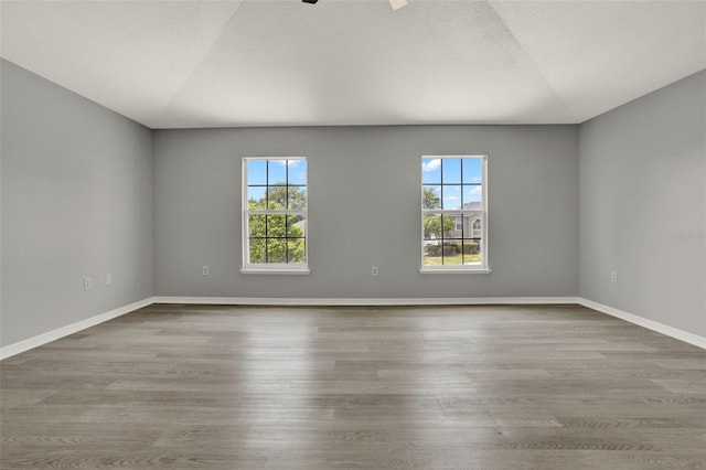 809 Deer Glen Ct, Fruitland Park, FL 34731 - empty room with plenty of natural light, wood finished floors, and baseboards