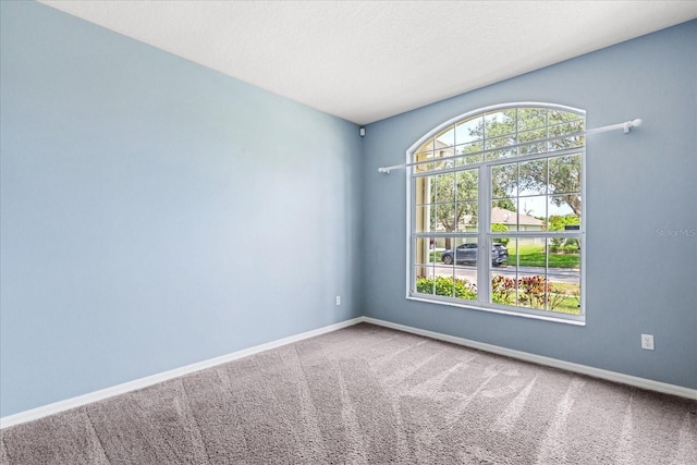 9644 Myrtle Creek Ln, Orlando, FL 32832 - carpeted spare room featuring baseboards