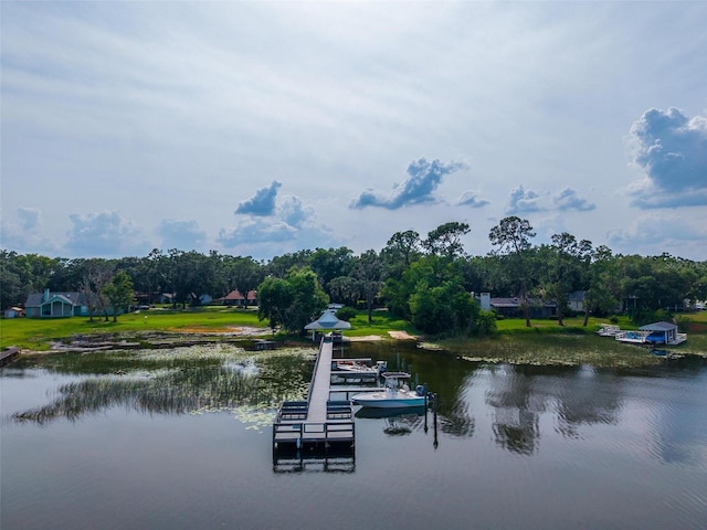 1202 Marshall Ct, Eustis, FL 32726 - dock with a water view and view of wooded area