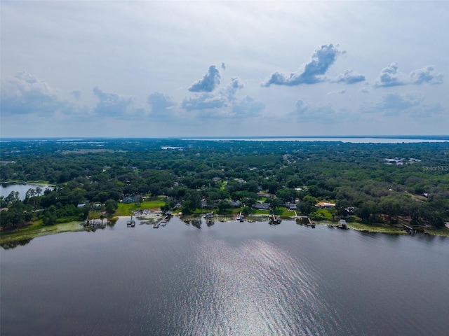 1202 Marshall Ct, Eustis, FL 32726 - aerial view of a large body of water and a forest