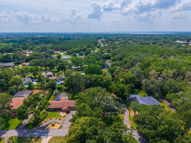 1202 Marshall Ct, Eustis, FL 32726 - aerial view of residential area featuring a heavily wooded area