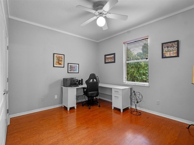 3518 Edlingham Ct, Belle Isle, FL 32812 - office featuring ceiling fan, light wood-style flooring, ornamental molding, and baseboards