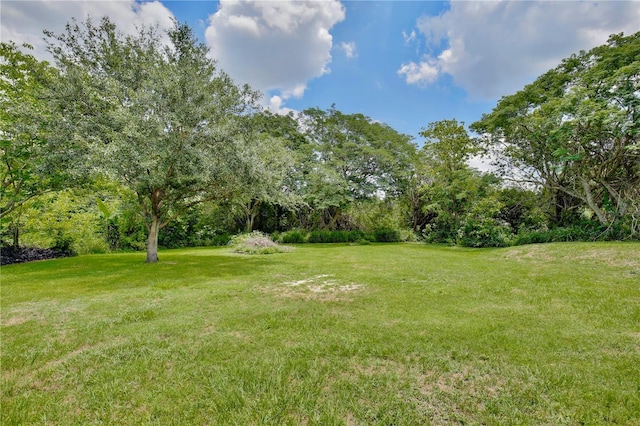 455 Orange Ave, Saint Cloud, FL 34769 - photo 33