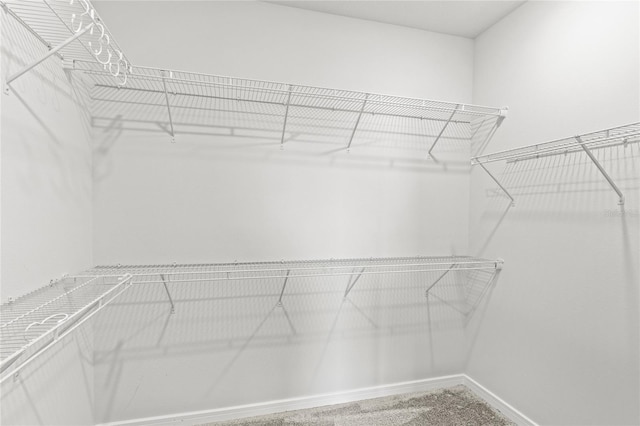 5641 Oak Knoll Dr, Saint Cloud, FL 34771 - view of walk in closet