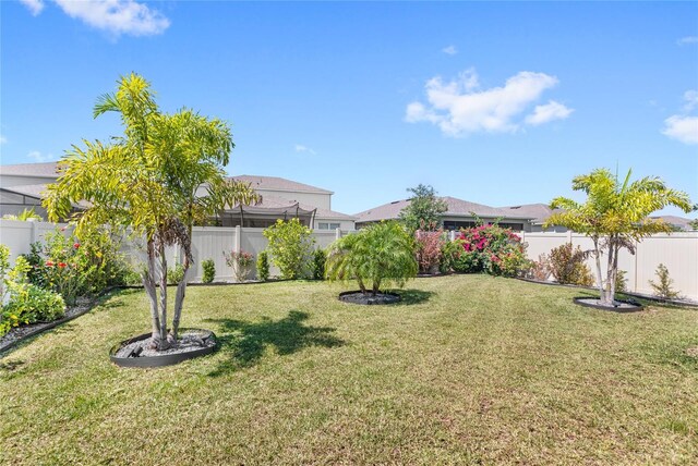 5641 Oak Knoll Dr, Saint Cloud, FL 34771 - view of yard