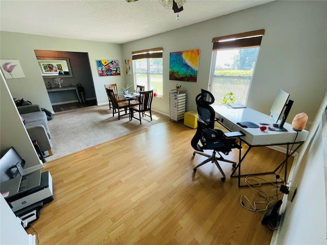 3565 E Lake Dr, Land O Lakes, FL 34639 - office with wood finished floors, a textured ceiling, and ceiling fan