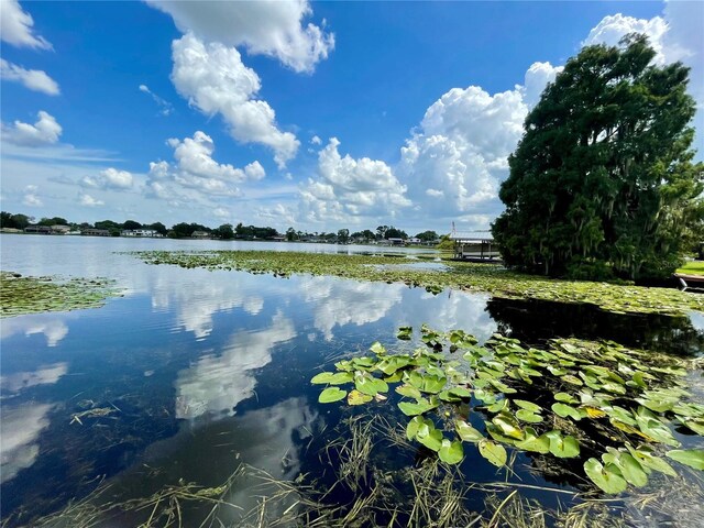 3565 E Lake Dr, Land O Lakes, FL 34639 - water view