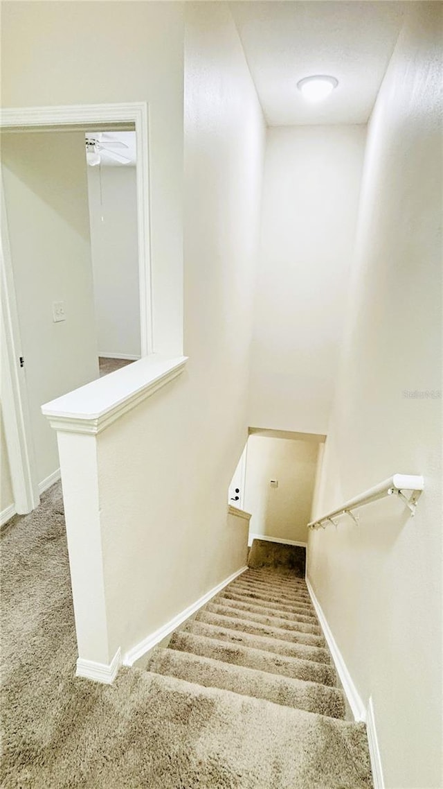 10914 Savannah Wood Dr Unit 139, Orlando, FL 32832 - photo 27
