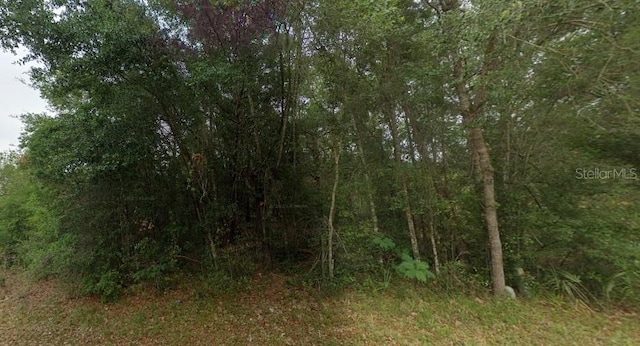 8681 N Catapane Loop, Crystal River, FL 34428