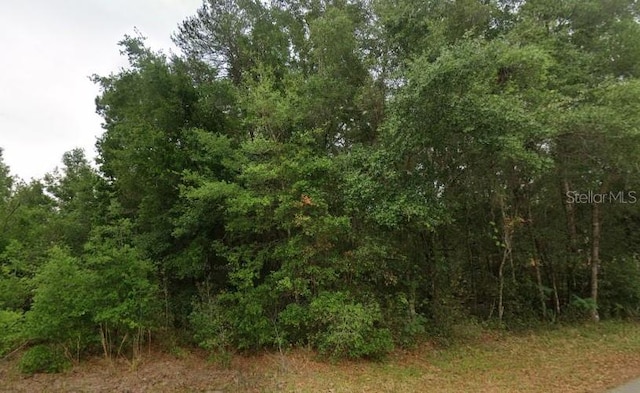8681 N Catapane Loop, Crystal River, FL 34428