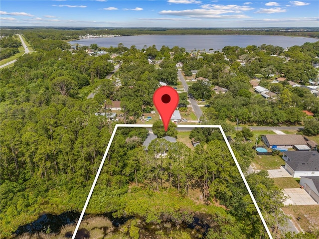 1189 Rib Ave, Saint Cloud, FL 34771 - photo 4