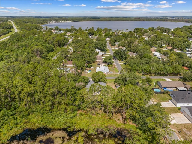 1189 Rib Ave, Saint Cloud, FL 34771 - photo 8