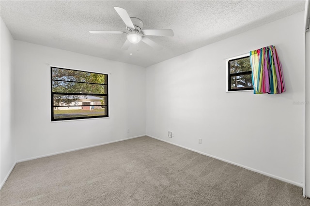 1189 Rib Ave, Saint Cloud, FL 34771 - photo 33