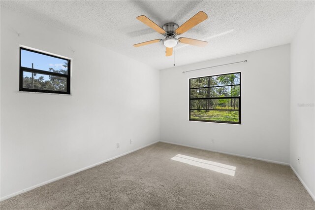 1189 Rib Ave, Saint Cloud, FL 34771 - photo 35