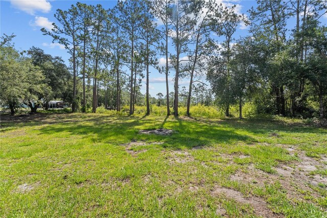 1189 Rib Ave, Saint Cloud, FL 34771 - photo 40