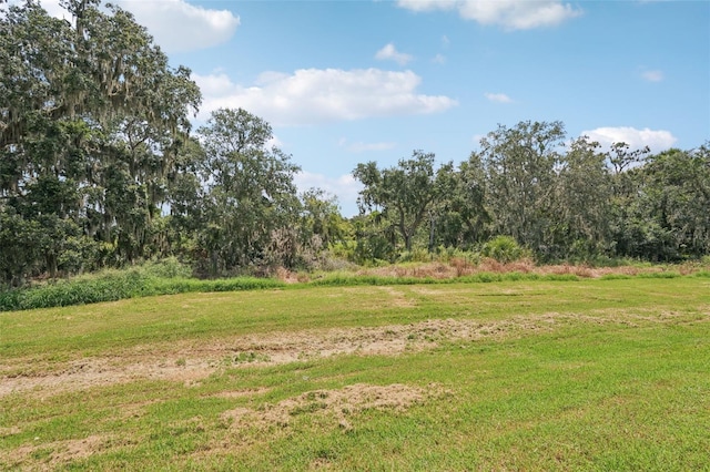13828 Richland Gulf Cir, Parrish, FL 34219 - photo 14