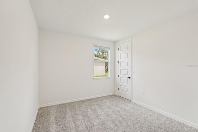 13828 Richland Gulf Cir, Parrish, FL 34219 - photo 34