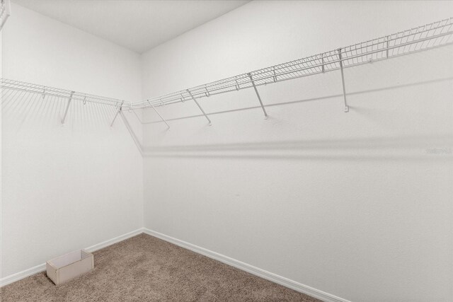 14927 Faversham Cir, Orlando, FL 32826 - spacious closet with carpet