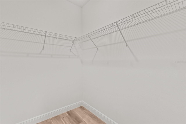 3863 W Galleon St, Dunnellon, FL 34433 - spacious closet with light wood-type flooring