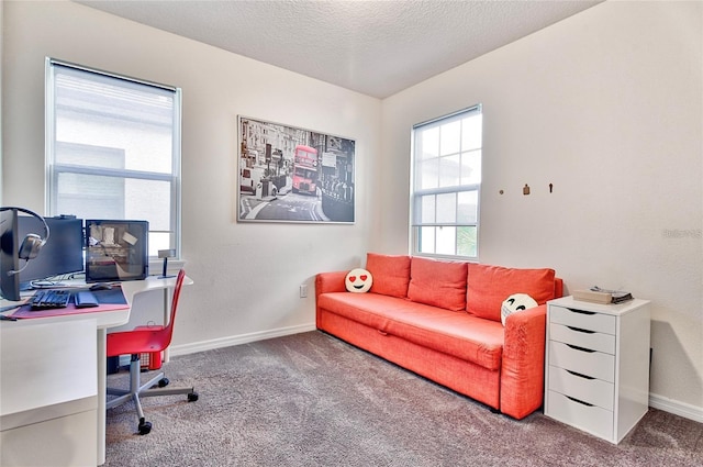 1147 Wildmeadow Run, Winter Park, FL 32792 - home office with carpet flooring, baseboards, and a textured ceiling