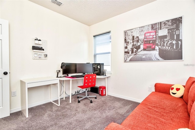 1147 Wildmeadow Run, Winter Park, FL 32792 - office space featuring carpet floors, baseboards, and a textured ceiling