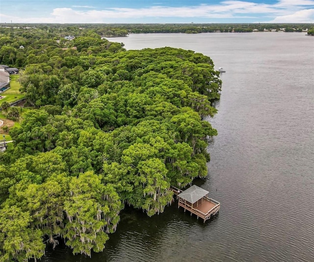 1147 Wildmeadow Run, Winter Park, FL 32792 - bird's eye view of a nearby body of water