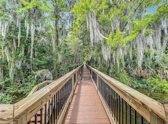 1147 Wildmeadow Run, Winter Park, FL 32792 - view of property's community