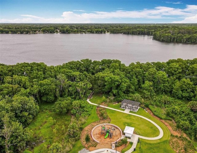 1147 Wildmeadow Run, Winter Park, FL 32792 - drone / aerial view of a large body of water and a forest