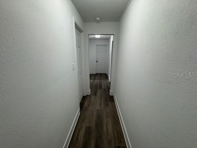 506 S St, Daytona Beach, FL 32114 - photo 12