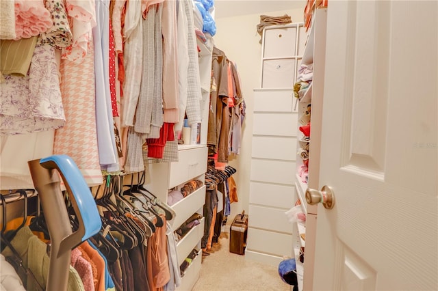 15303 SW 52nd Cir, Ocala, FL 34473 - walk in closet with carpet flooring