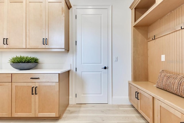 13791 Abberwick Dr, Orlando, FL 32832 - mudroom featuring light wood finished floors and baseboards