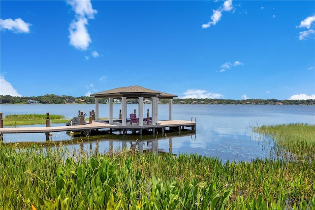 10845 Bayshore Dr, Windermere, FL 34786 - dock area with a water view