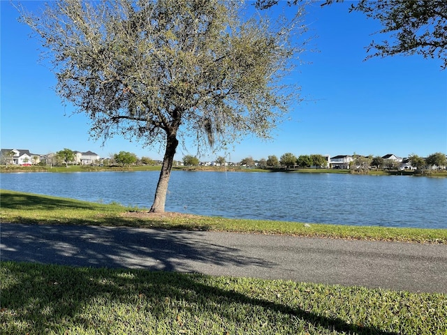 14525 Englert Aly, Orlando, FL 32827 - photo 59