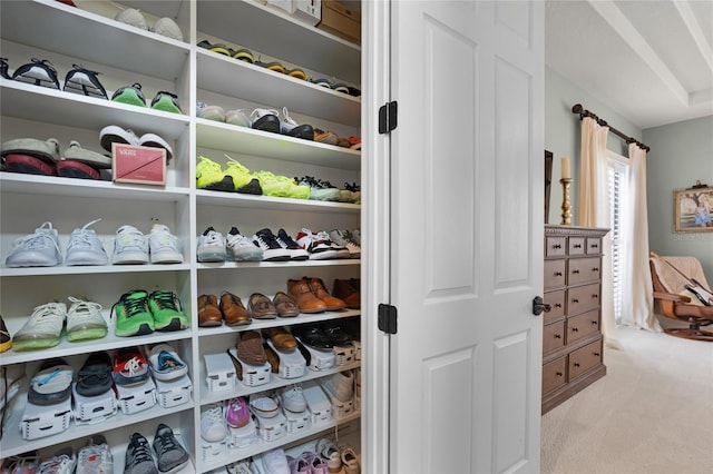 190 Osprey Hammock Trl, Sanford, FL 32771 - spacious closet with carpet