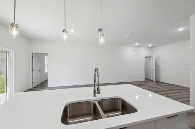 16904 SW 30th Avenue Rd, Ocala, FL 34473 - kitchen featuring a sink, wood finished floors, healthy amount of natural light, light countertops, and recessed lighting