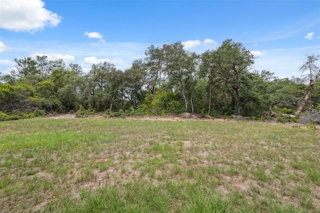 16904 SW 30th Avenue Rd, Ocala, FL 34473 - view of tree filled area
