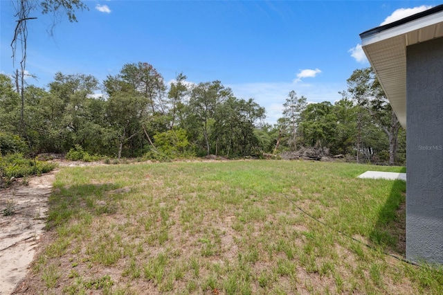 16904 SW 30th Avenue Rd, Ocala, FL 34473 - view of yard
