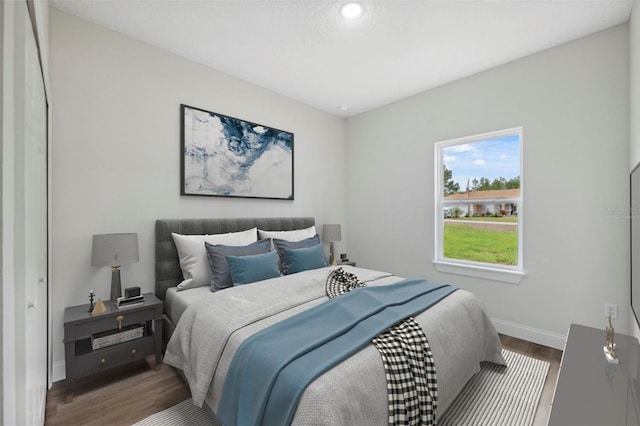 16904 SW 30th Avenue Rd, Ocala, FL 34473 - bedroom with wood finished floors, baseboards, and recessed lighting