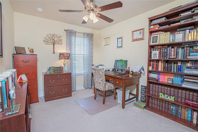 10520 Burrows St, Orlando, FL 32832 - photo 22