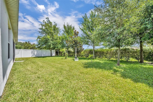 14325 Hidden Ct, Clermont, FL 34711 - view of yard