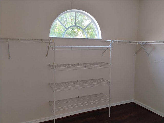 10415 Lucaya Dr, Tampa, FL 33647 - walk in closet with wood finished floors